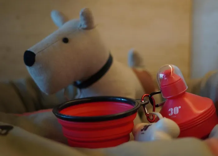 Espanya - 30º Hotel